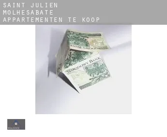 Saint-Julien-Molhesabate  appartementen te koop
