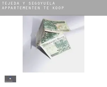 Tejeda y Segoyuela  appartementen te koop