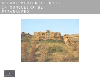 Appartementen te huur in  Xunqueira de Espadanedo