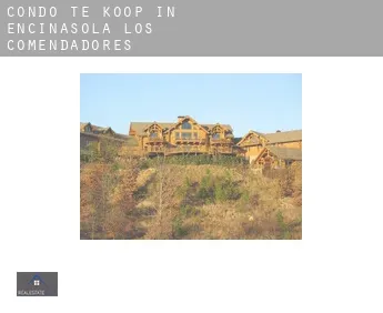 Condo te koop in  Encinasola de los Comendadores