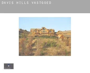 Davis Hills  vastgoed