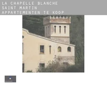 La Chapelle-Blanche-Saint-Martin  appartementen te koop