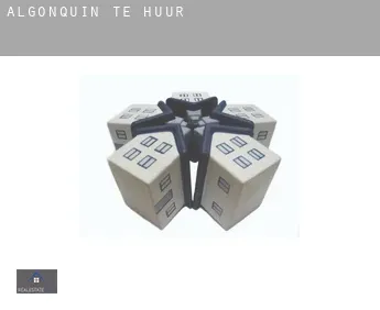 Algonquin  te huur