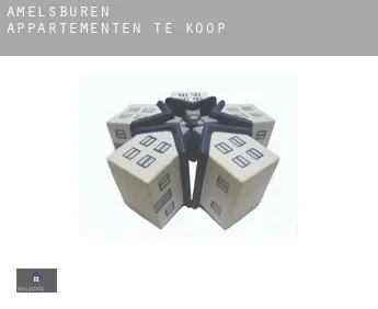 Amelsbüren  appartementen te koop