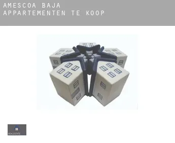 Améscoa Baja  appartementen te koop