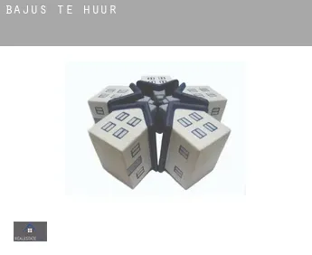 Bajus  te huur