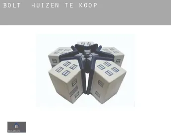 Bolt  huizen te koop