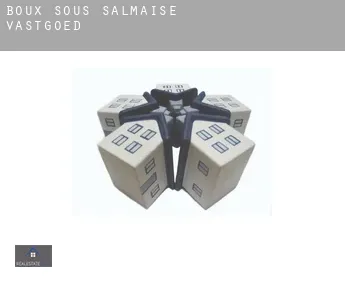 Boux-sous-Salmaise  vastgoed