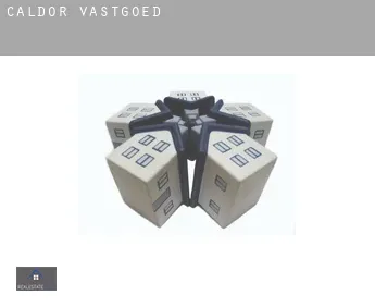 Caldor  vastgoed