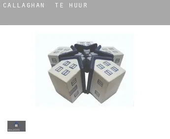 Callaghan  te huur