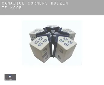 Canadice Corners  huizen te koop