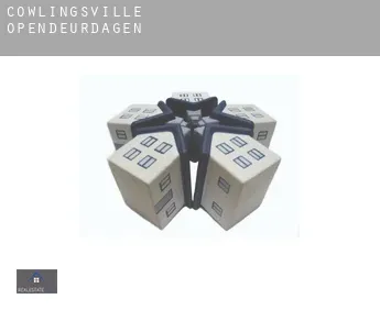 Cowlingsville  opendeurdagen