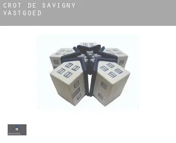 Crot de Savigny  vastgoed