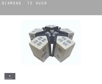 Diamond  te huur