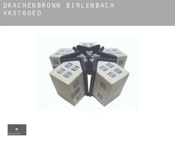 Drachenbronn-Birlenbach  vastgoed
