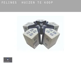 Félines  huizen te koop