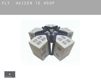 Fly  huizen te koop