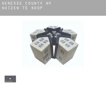 Genesee County  huizen te koop