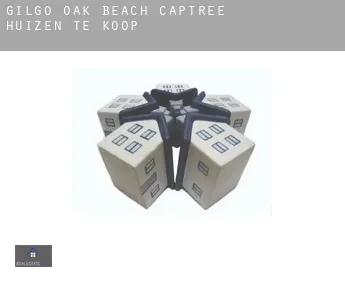 Gilgo-Oak Beach-Captree  huizen te koop