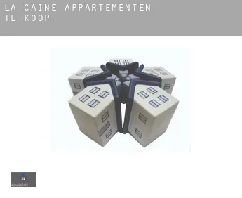 La Caine  appartementen te koop