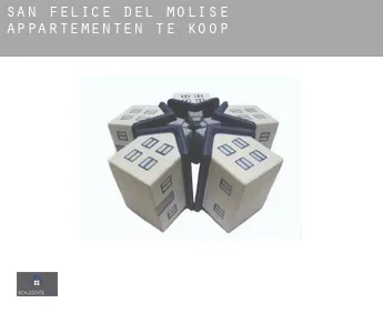 San Felice del Molise  appartementen te koop