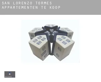 San Lorenzo de Tormes  appartementen te koop