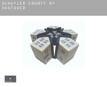 Schuyler County  vastgoed
