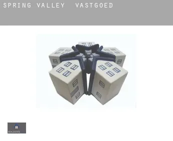 Spring Valley  vastgoed