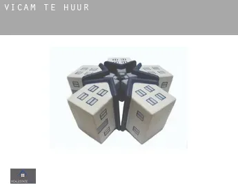 Vicam  te huur