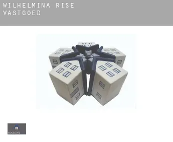 Wilhelmina Rise  vastgoed