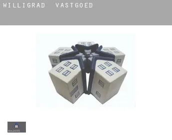 Willigrad  vastgoed