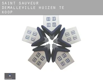 Saint-Sauveur-d'Émalleville  huizen te koop