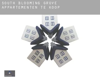 South Blooming Grove  appartementen te koop