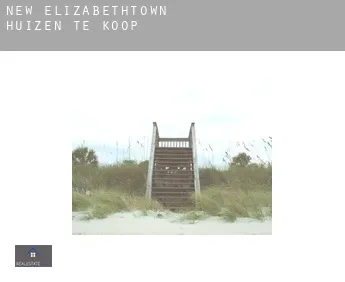 New Elizabethtown  huizen te koop