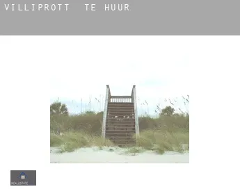 Villiprott  te huur