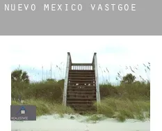 New Mexico vastgoed