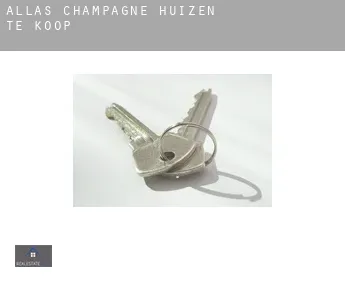 Allas-Champagne  huizen te koop