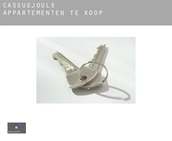 Cassuéjouls  appartementen te koop