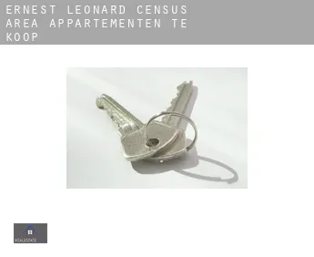Ernest-Léonard (census area)  appartementen te koop