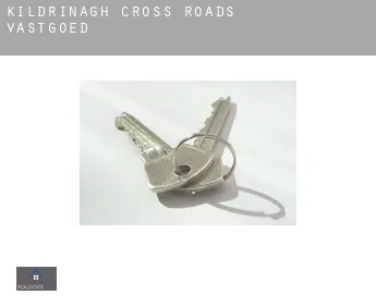 Kildrinagh Cross Roads  vastgoed