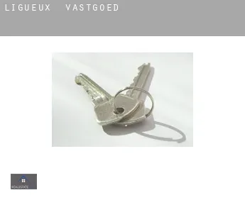 Ligueux  vastgoed