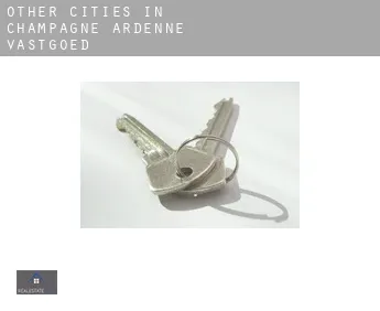 Other cities in Champagne-Ardenne  vastgoed