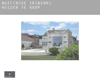 Bustince-Iriberry  huizen te koop