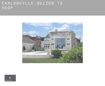 Carlowville  huizen te koop