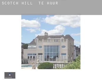 Scotch Hill  te huur