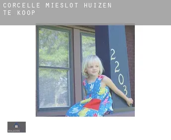 Corcelle-Mieslot  huizen te koop