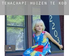 Tehachapi huizen te koop