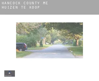 Hancock County  huizen te koop