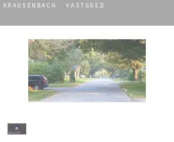 Krausenbach  vastgoed