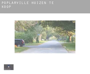 Poplarville  huizen te koop